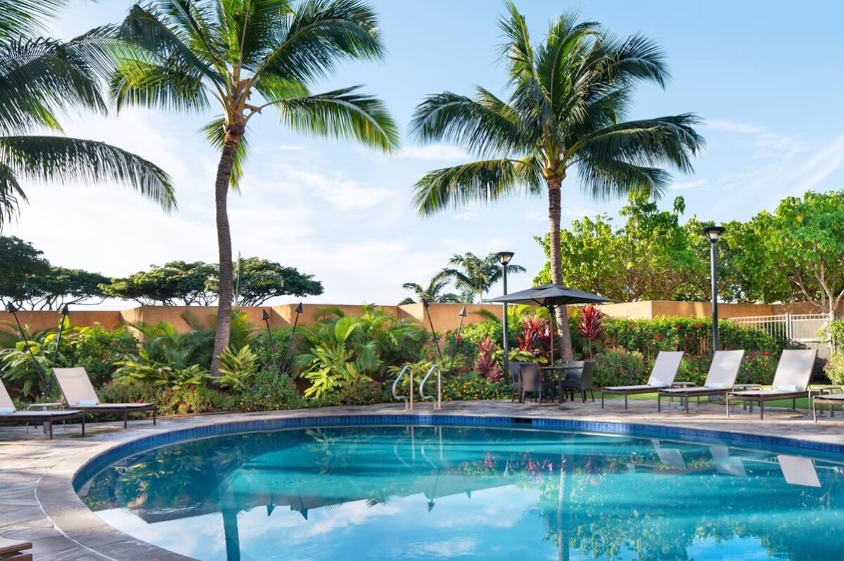 A bright blue pool with lounge chairs, palm trees and lots of greenery.
