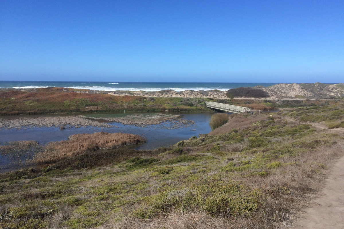 Pescadero State Beach