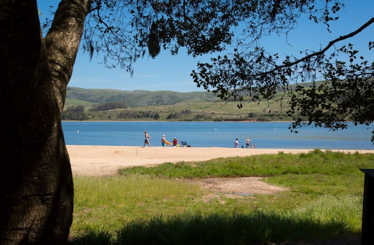 People on Hearts Desire beach in Tomales Bay, with some grass and trees up front.
