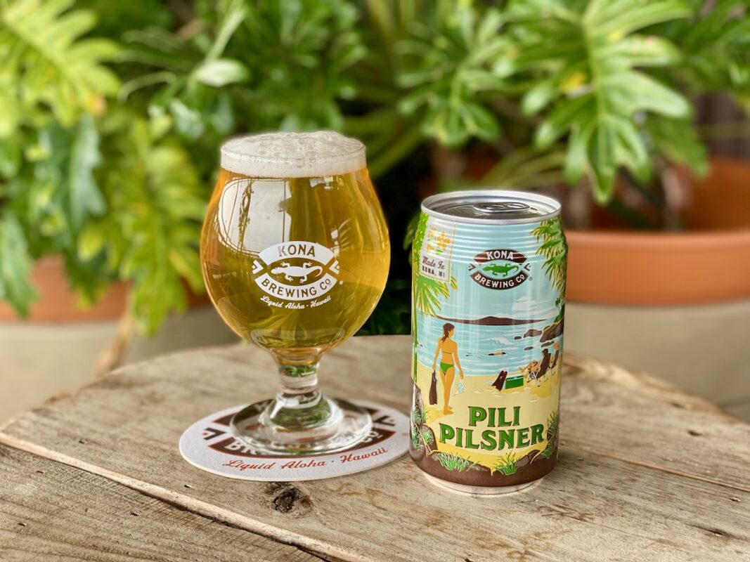 A can of beer next to a glass of beer.