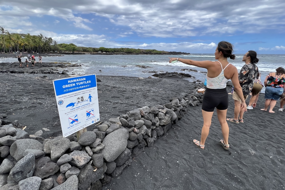 Punaluu Beach Park Turtle Barrier