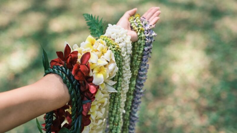 Armful of leis