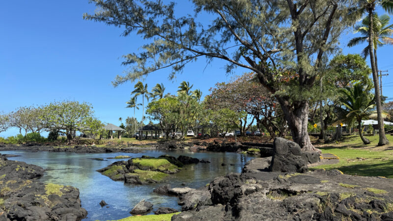 Lush coastal view of Waiuli Beach Park in Hawaii, featuring black lava rocks, clear shallow water, and a backdrop of palm trees, pavilions, and picnic areas under a bright blue sky.