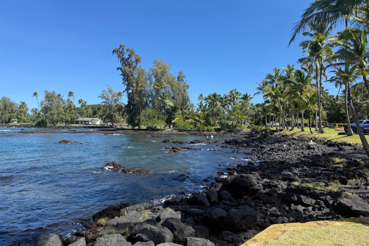 View from Waiuli Beach looking toward Richardson Ocean Park, with calm blue waters, palm trees, and volcanic rocks lining the shore.