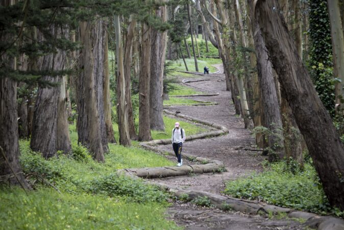 A man walks with his hands in his pockets down a dirt path surrounded by trees and a curvy line built from tree trunks snaking through the center.