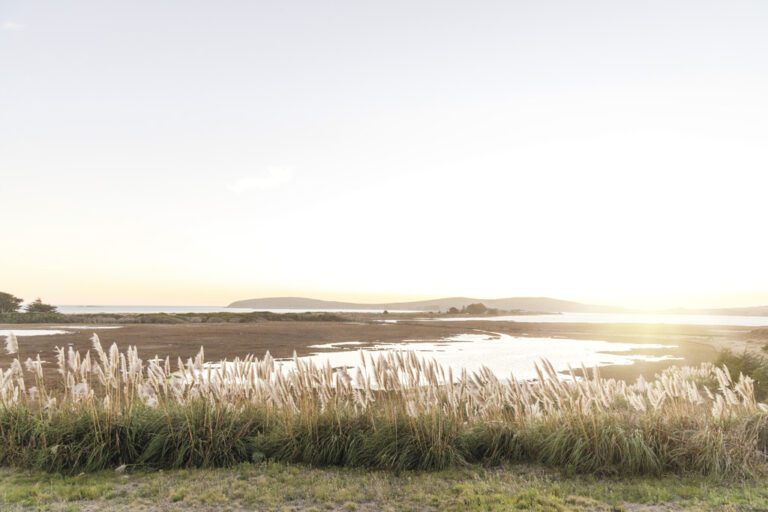 Bodega Bay, California