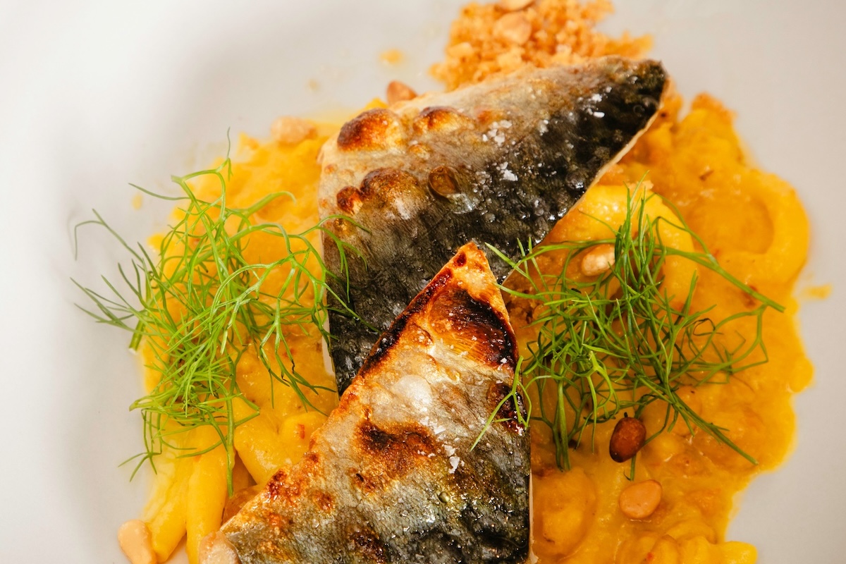 A yellow sauce on the bottom of a plate with charred fish, topped with dill for garnish.