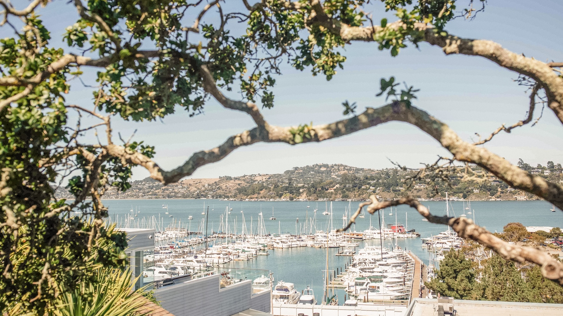 harbor view casa madrona