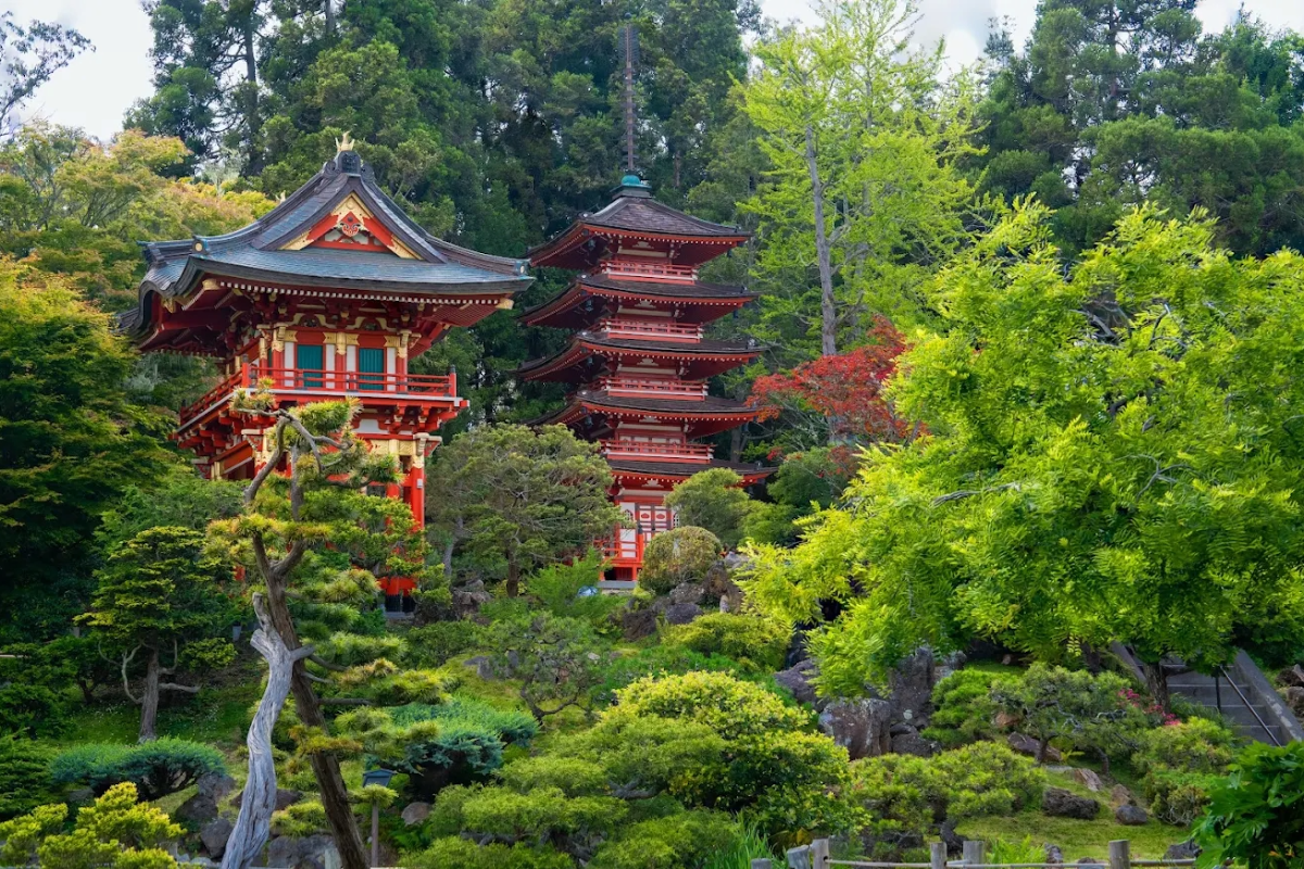 Traditional Japanese pagoda and gate surrounded by lush greenery in San Francisco’s Golden Gate Park.