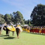 A group of people riding horses in a grassy field under a clear blue sky.