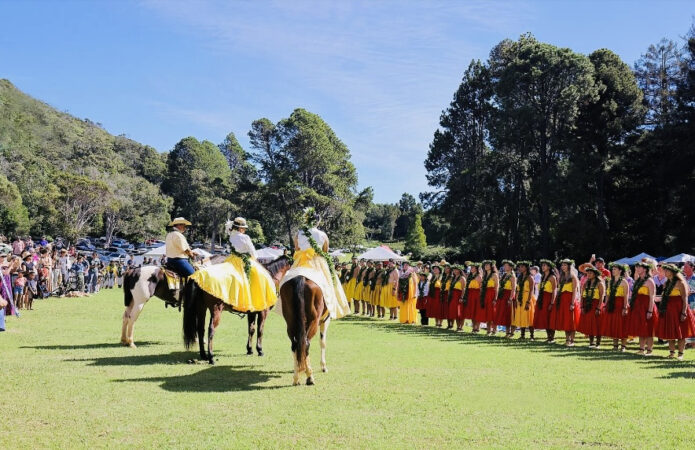 A group of people riding horses in a grassy field under a clear blue sky.