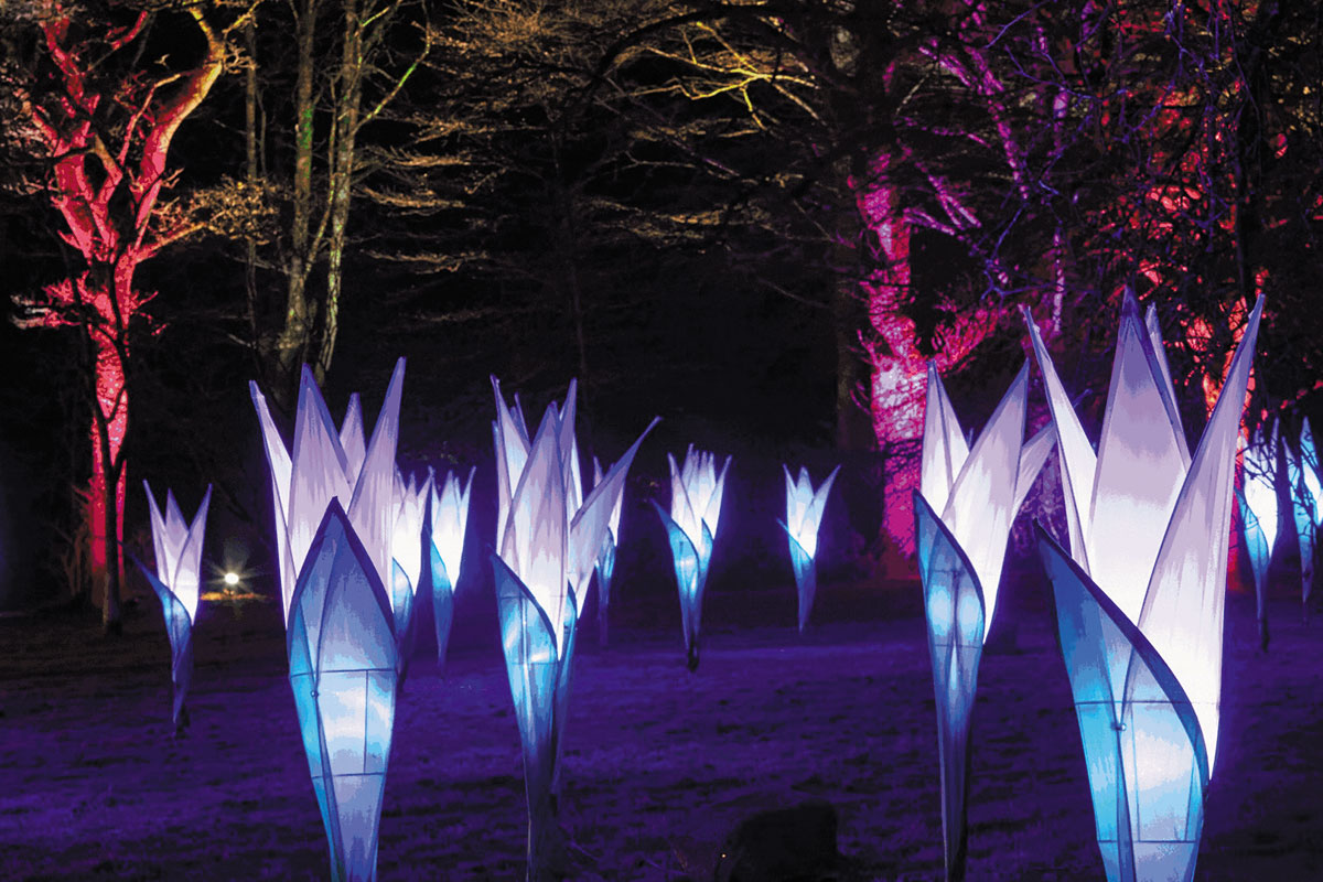 Glowing sculptural light installations illuminate a wooded garden path at night, casting blue, purple and pink light among trees.