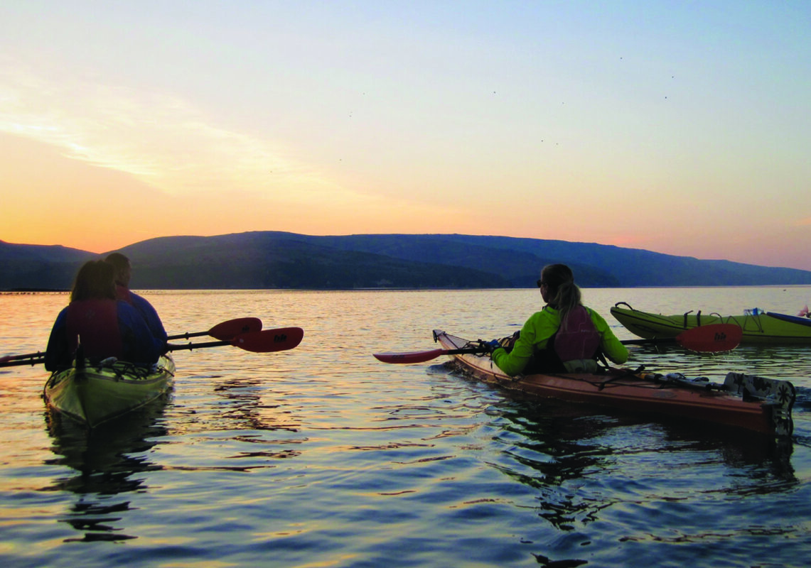 kayakers in Marin
