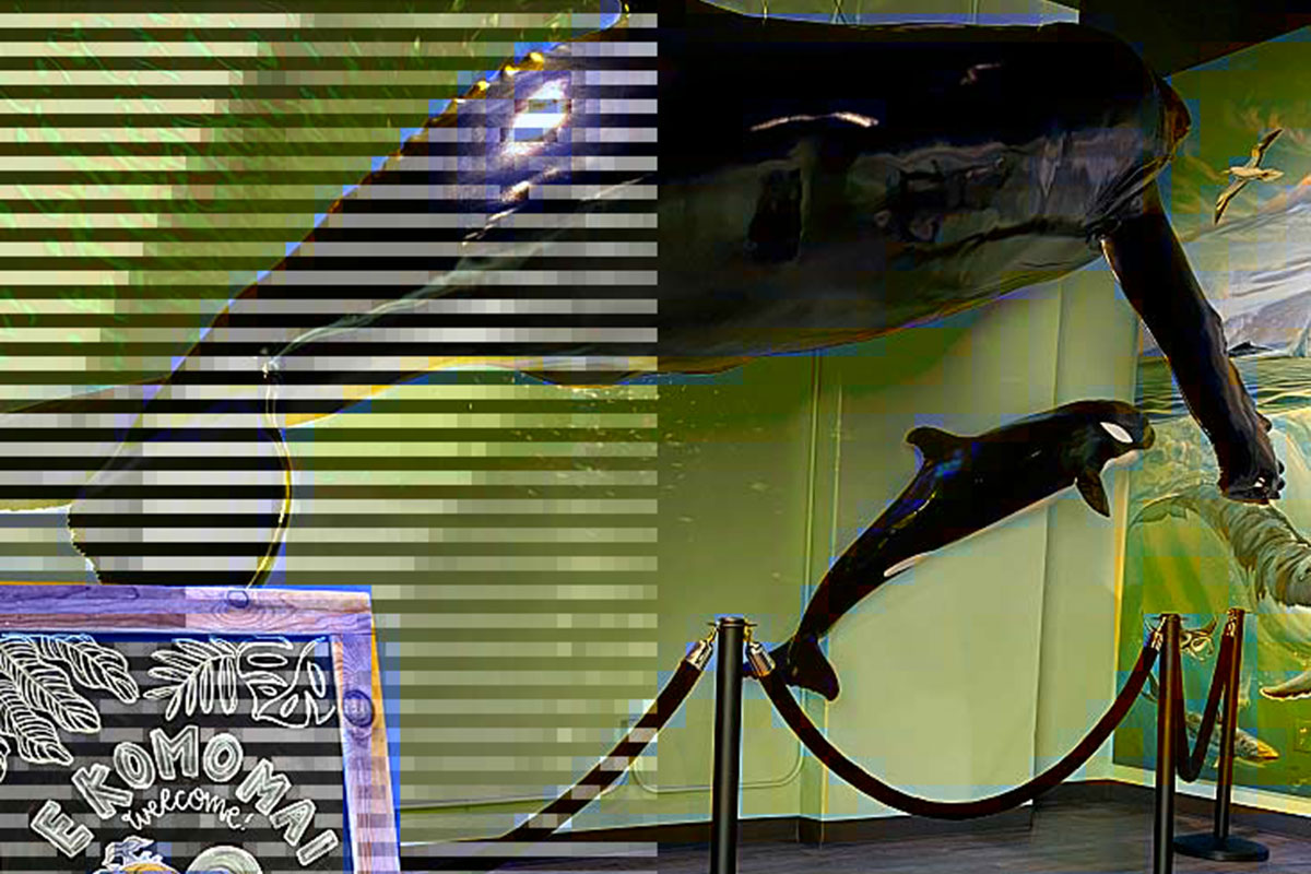 A sizable black and white artwork, highlighting intricate designs and a striking visual contrast