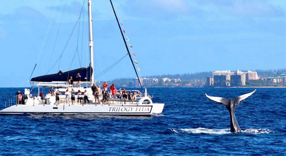 A whale tail is visible above the water's surface while a boat glides by, capturing a serene ocean scene.