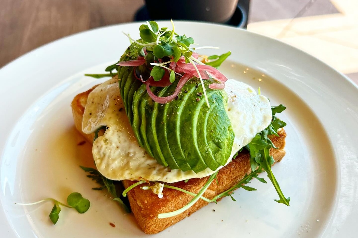Avocado toast with a fried egg, pickled onions and sprouts.