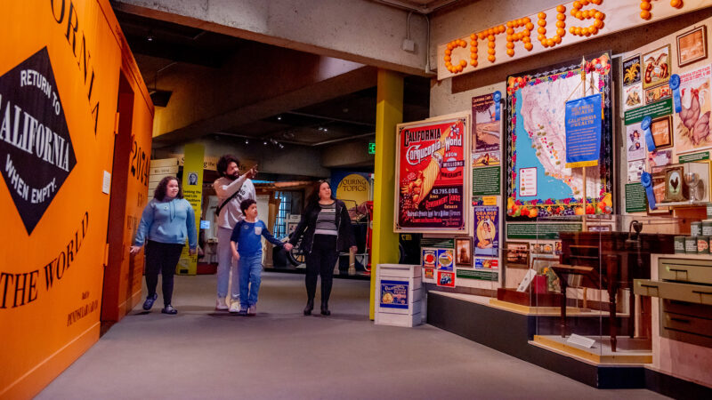 See the Bay Area’s Top Museums on the House With 'Free Days'