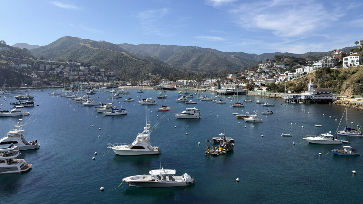 Catalina Island, Photo Credit Jordan Reid