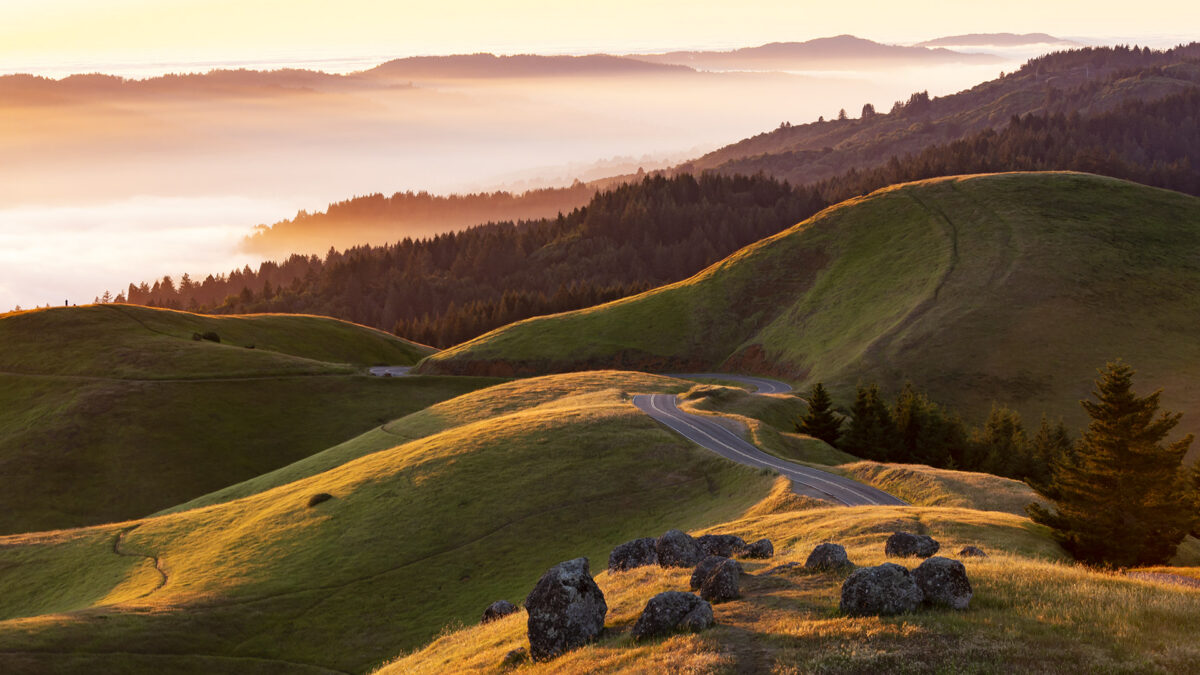 Bolinas Ridge in Marin County, California, Courtesy of Jay Tamang