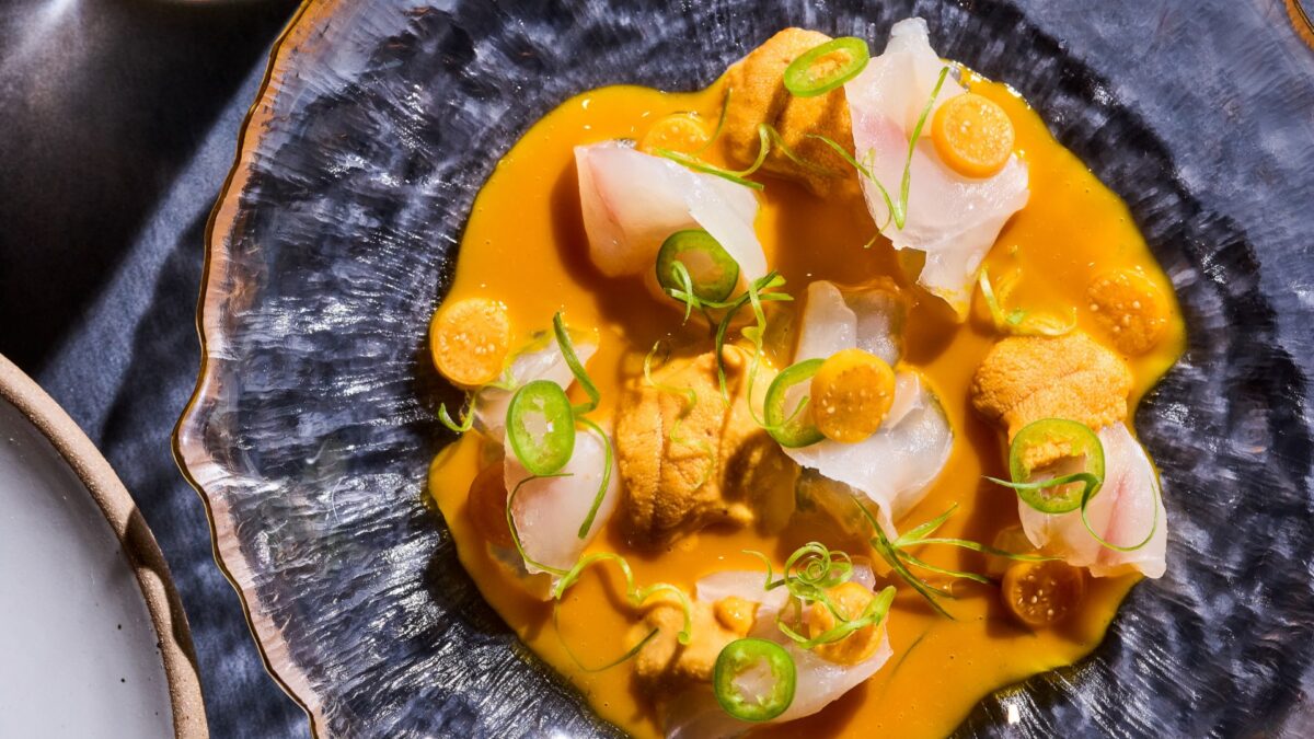 Sergeant Ma halibut Crudo closeup