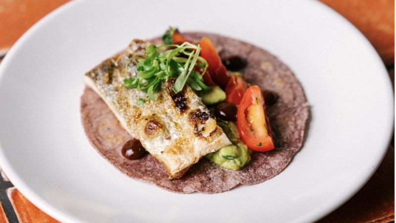 Holbox-Los Angeles-@holboxlosangeles Beautifully plated fish taco on a blue corn tortilla, topped with grilled fish, avocado, halved cherry tomatoes, olives, and microgreens.