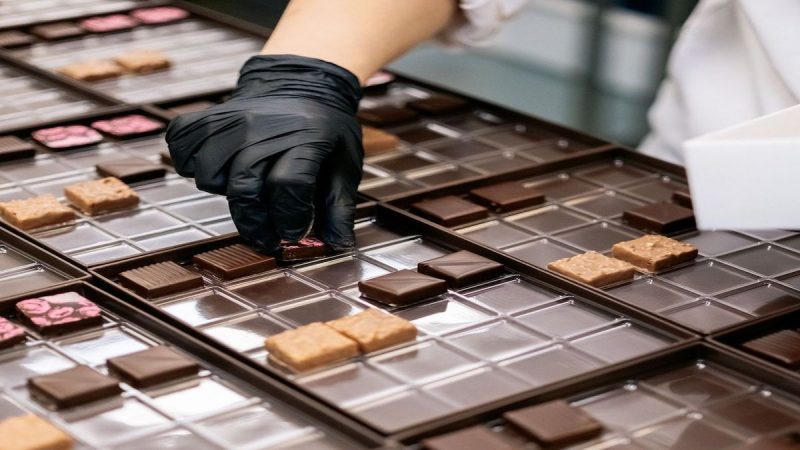 A worker wearing black gloves and a white lab coat is carefully placing assorted chocolates, known to be the Best Dessert in Sacramento, into a tray with individual compartments. The chocolates vary in shape and size, including square and rectangular pieces.