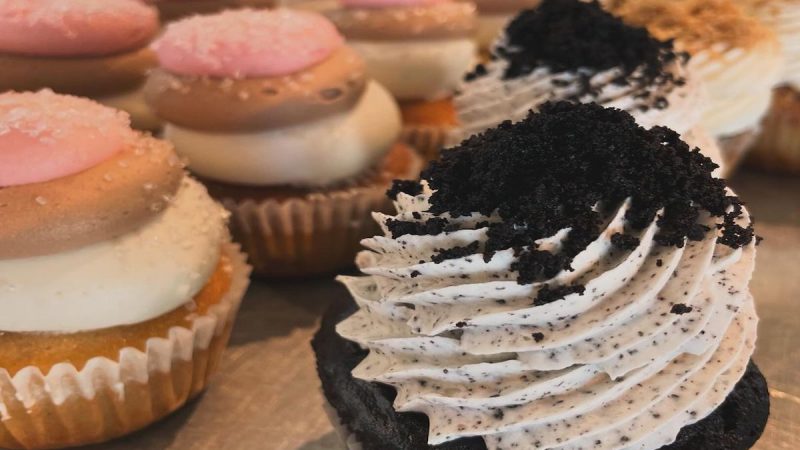 A display of various cupcakes, with the focus on two types in the foreground, showcases why these are considered the Best Dessert in Sacramento. One cupcake has a dark chocolate base with white and black speckled frosting topped with crumbled cookies. The other has a light-colored base with layered pink and beige frosting.